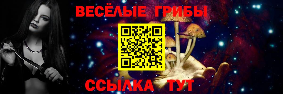 Галлюциногенные грибы MAGIC MUSHROOMS  Галлюциногенные грибы Cubensis  Биробиджан  Вход с VPN 